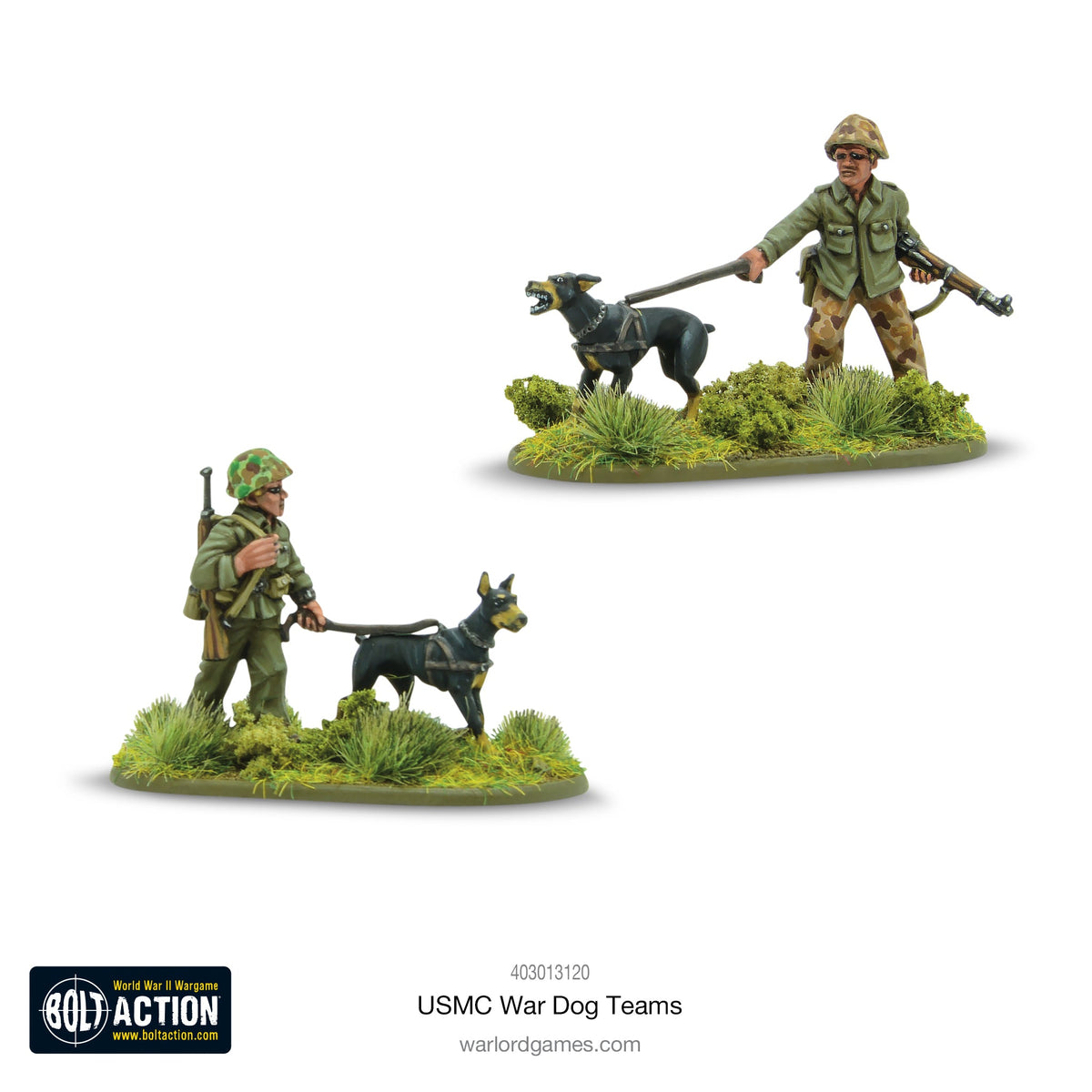 US Marine Corps. War Dog Teams