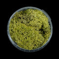 Gatehouse Gaming - Putrid Hedge Basing Material