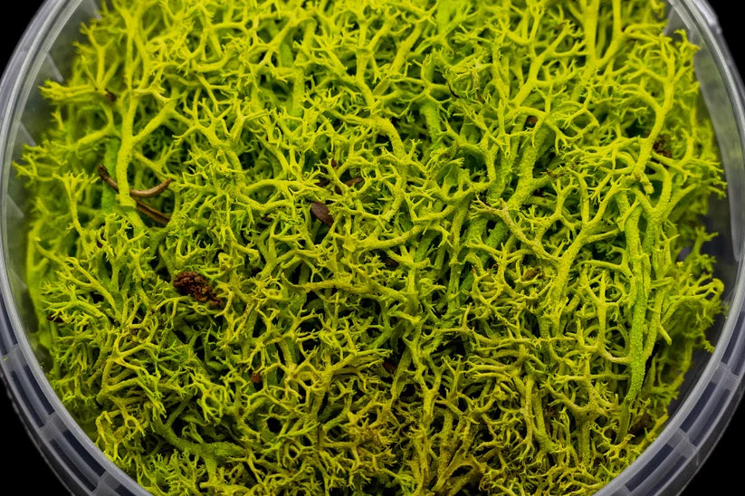 Gatehouse Gaming - Toxic Hedge Basing Material