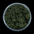 Gatehouse Gaming - Darkwood Hedge Basing Material