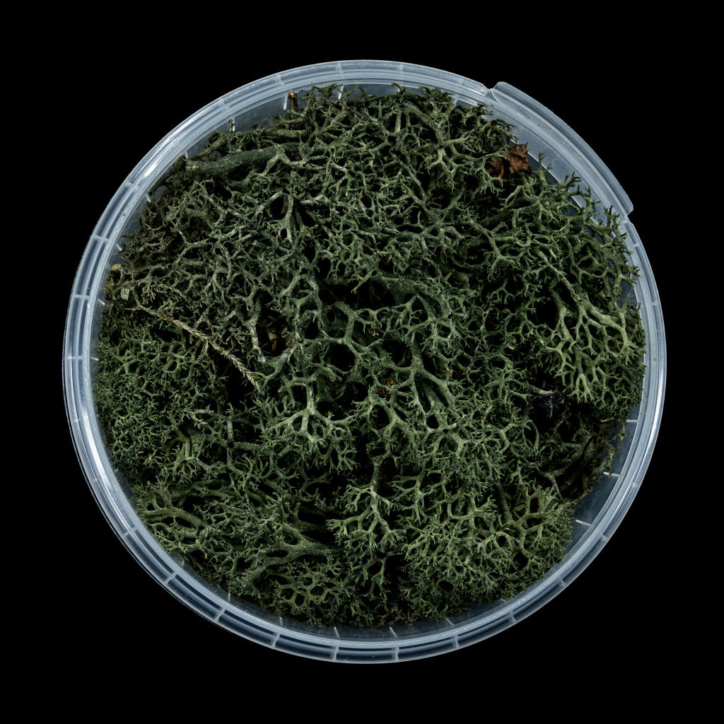 Gatehouse Gaming - Darkwood Hedge Basing Material