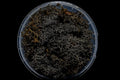 Gatehouse Gaming - Burnt Hedge Basing Material