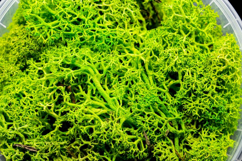 Gatehouse Gaming -Lush Hedge Basing Material