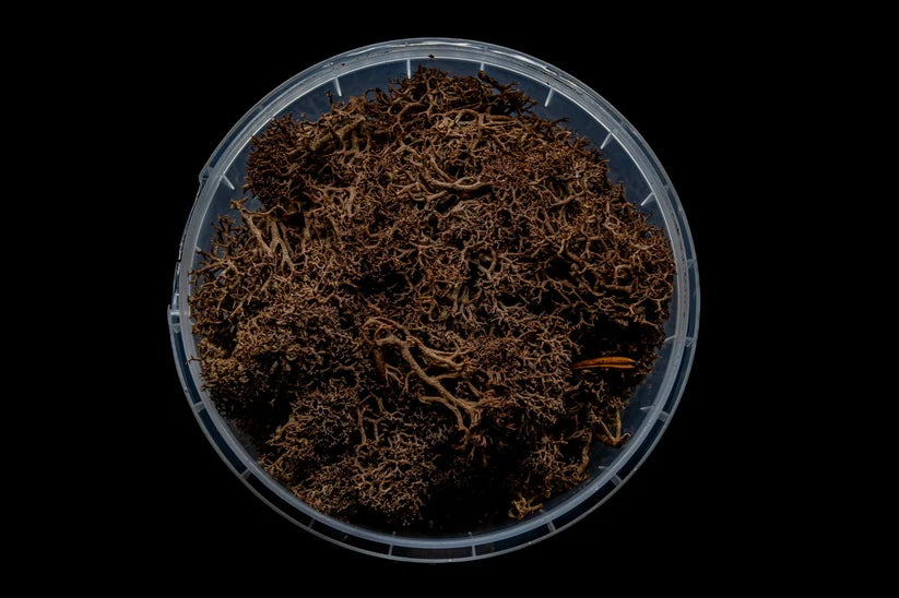 Gatehouse Gaming - Deadwood Hedge Basing Material
