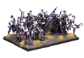 Twilight Kin Corsair Voidwalkers / Fleetwardens Regiment