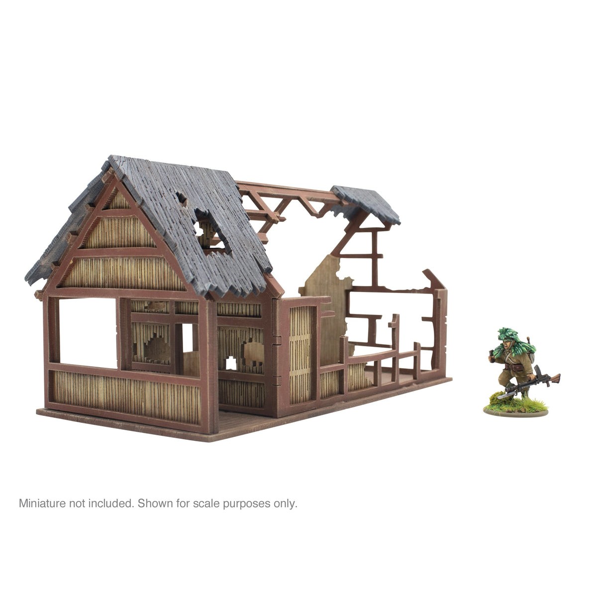 Asian Villages - Large building ruins